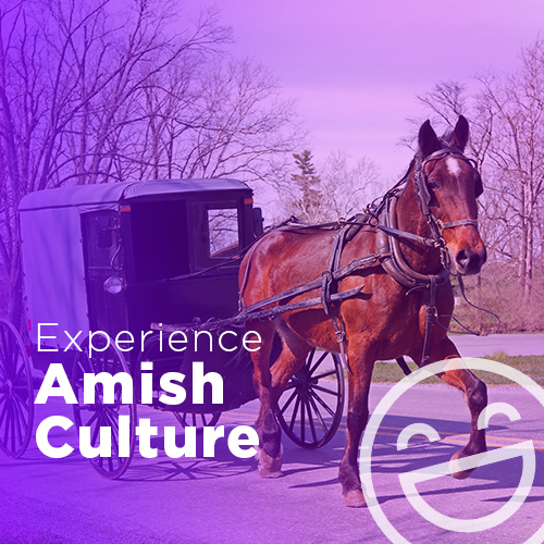 Experience Lancaster Amish Culture